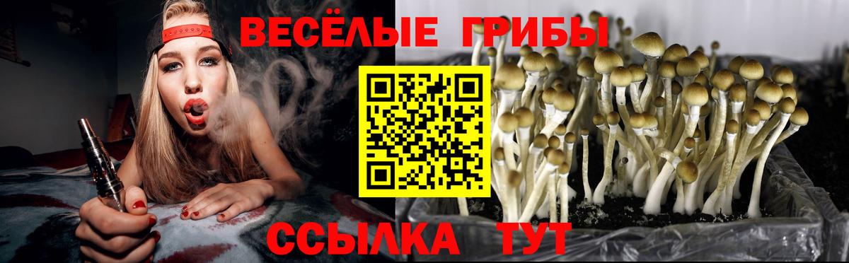 Галлюциногенные грибы мицелий  Псилоцибиновые грибы Magic Shrooms  Вход с VPN  Буйнакск 